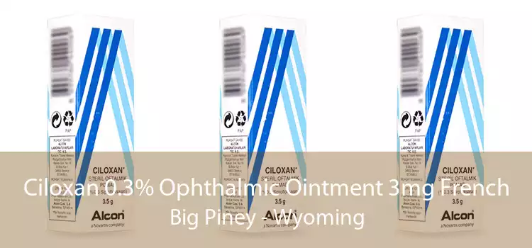 Ciloxan 0.3% Ophthalmic Ointment 3mg French Big Piney - Wyoming