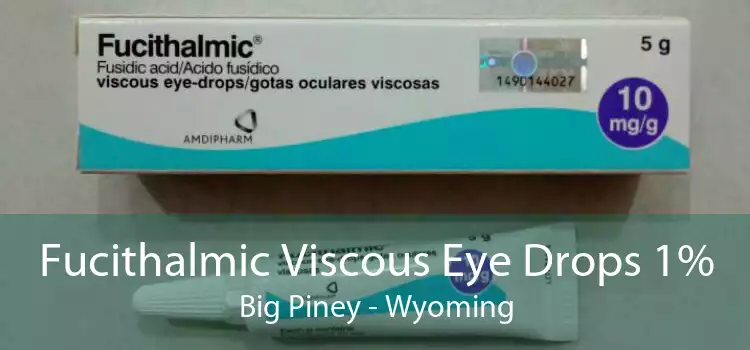 Fucithalmic Viscous Eye Drops 1% Big Piney - Wyoming