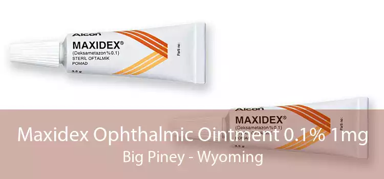 Maxidex Ophthalmic Ointment 0.1% 1mg Big Piney - Wyoming