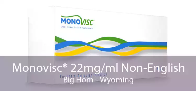 Monovisc® 22mg/ml Non-English Big Horn - Wyoming