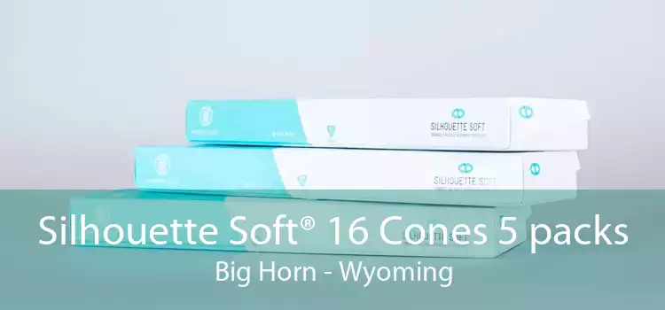 Silhouette Soft® 16 Cones 5 packs Big Horn - Wyoming